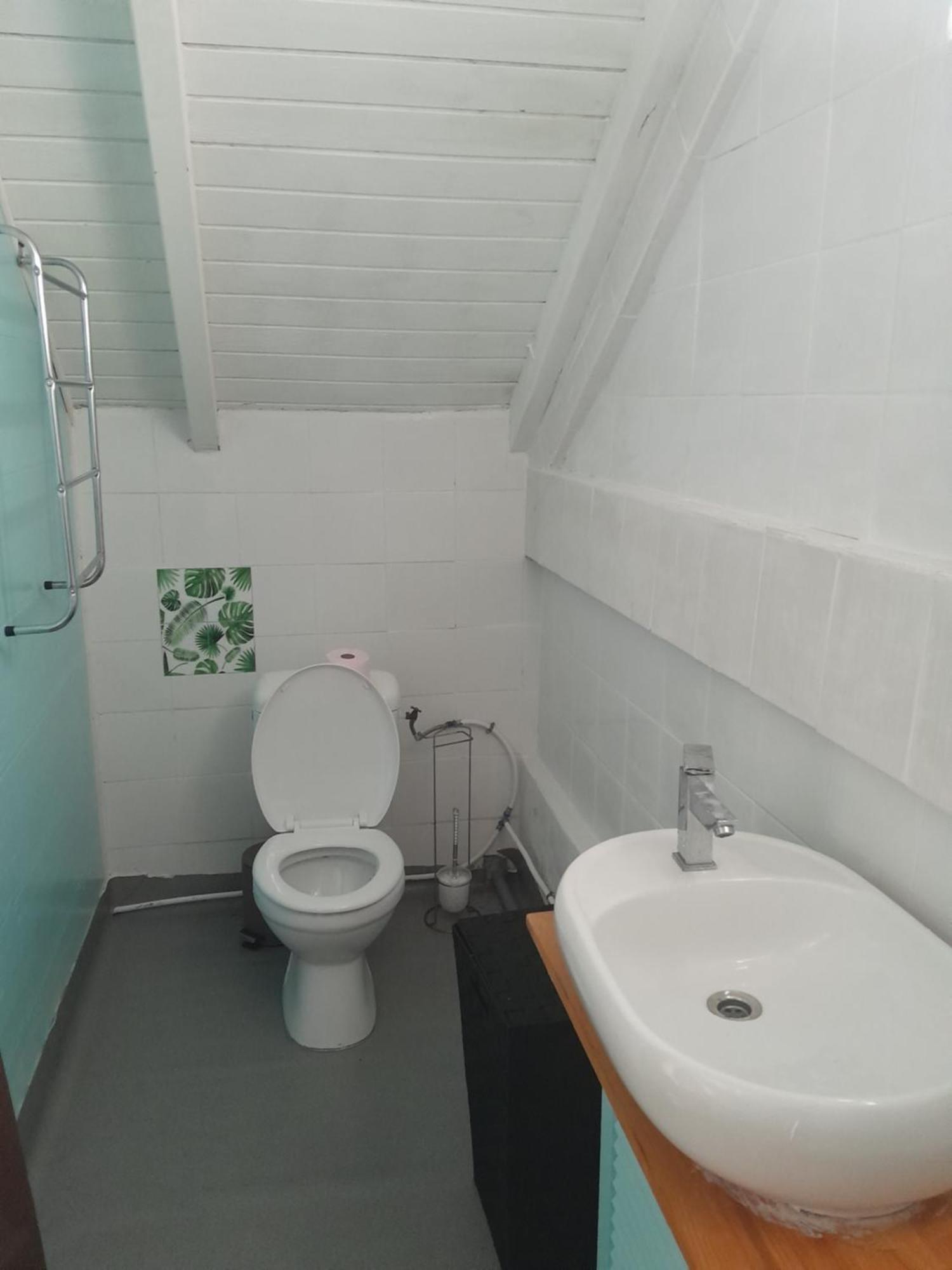 Appartement Les Manguiers à Sainte-Anne  Extérieur photo